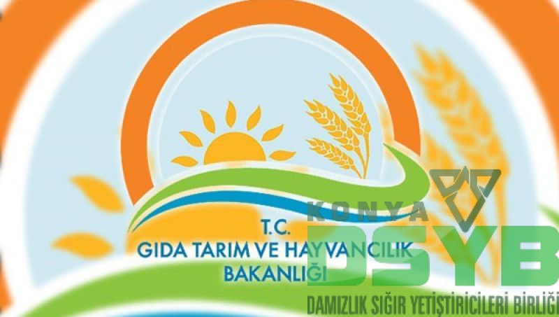 YASAK,YARIN,BAŞLIYOR