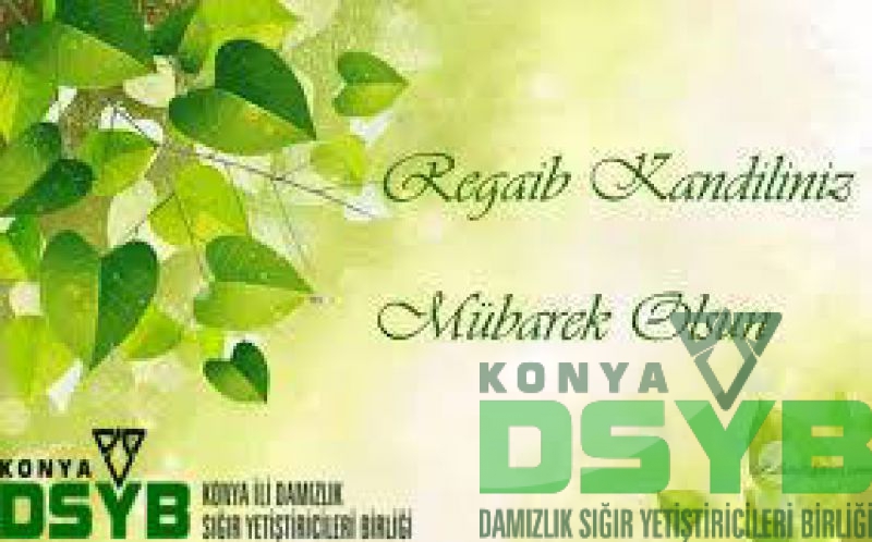 REGAİP,KANDİLİ,