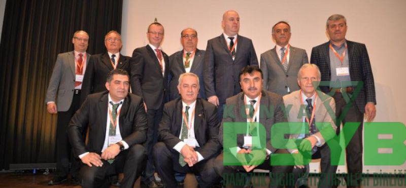 31.,SİMMENTAL,KONGRESİ
