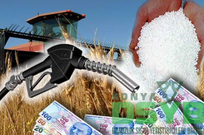 DESTEKLEME,BİRİM,FİYATLARI,AÇIKLANDI