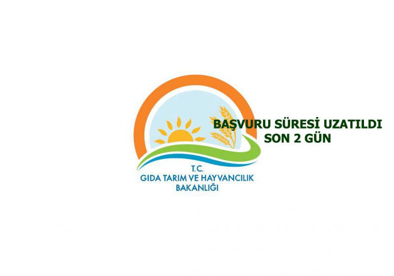 BAŞVURU,SÜRESİ,UZATILDI,SON,2,GÜN