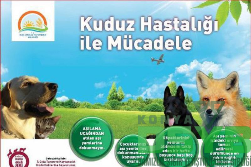 HAVADAN,AŞILAMA,YAPILACAK