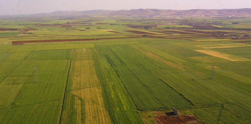 TÜRKİYEDE,ARAZİ,TOPLULAŞTIRMASI